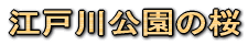 �]�ː�����̍�